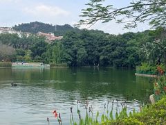 -厦门大学(思明校区)