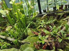 -国家植物园南园