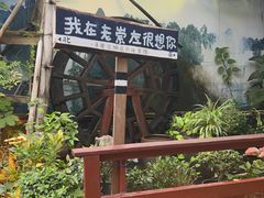 -老崇左特色风味食馆