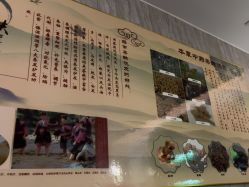 -尚艺造型.剪烫染.接发