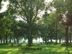-两河城市森林公园