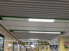 -杨柳河(地铁站)