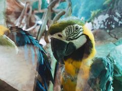 -福州罗源湾海洋世界旅游区