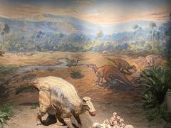 -自贡恐龙博物馆