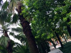 -苏州河梦清园环保主题公园