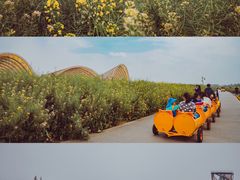 -中国天府农业博览园