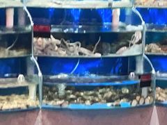 -蓝珊甄选海鲜自助·火锅大排档(近阿那亚店)