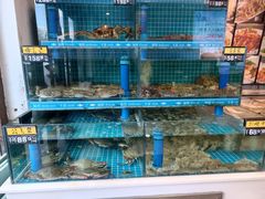 -鲜鲜·鲅鱼圈海鲜(于洪店)
