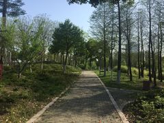 -尚贤河湿地