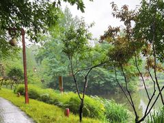 -重庆彩云湖湿地公园