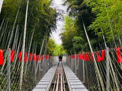 -中国大竹海景区