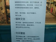 -猫咪博物馆(顶澳仔猫街店)