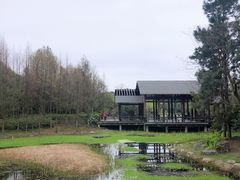 -长广溪湿地公园