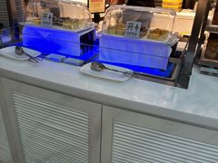 -虹桥机场V2贵宾休息室