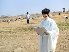 -盐城丹顶鹤湿地生态旅游区