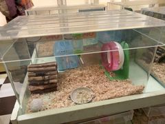 -龙猫仔乐园(惠福东路店)