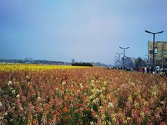 -中国天府农业博览园