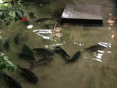 -大理老字号·舟渔的鱼野生菌海景餐厅(双廊店)