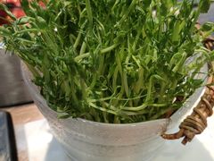 -辣伍鲜毛肚老火锅(元一店)