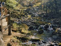 -关门山森林公园