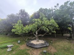 -六鼎山文化旅游区