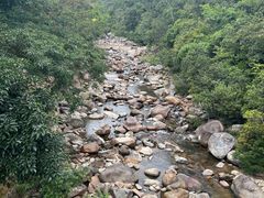 -海南热带雨林国家公园吊罗山景区