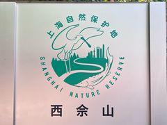 -上海佘山国家森林公园西佘山园