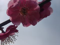 -无锡梅园公园
