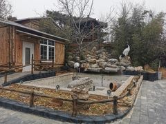 -丽泽山庄·生态怀柔菜·虹鳟鱼(红螺寺店)