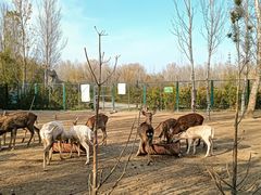 -野鸭湖国家湿地公园