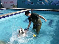 -趣玩宠物乐园寄养训犬训狗游泳池