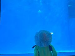 -海合安成都极地海洋公园