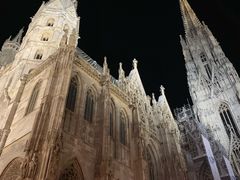-斯蒂芬主教座堂(Stephansdom)