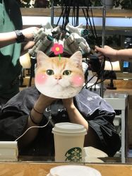 -构想时尚发型会所