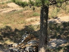 -西霞口神雕山野生动物世界