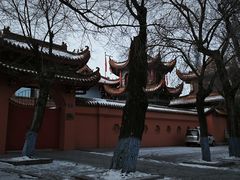 -哈尔滨极乐寺