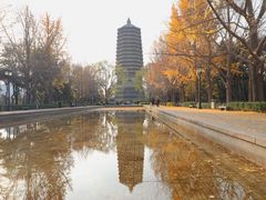 -玲珑塔公园