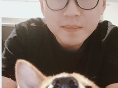 -翊宠yipet猫狗购宠庄园犬舍•猫舍