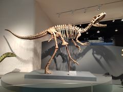 -自贡恐龙博物馆