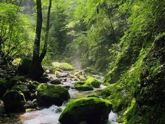 -牛背梁国家森林公园