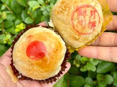 -沈大成(南京东路店)