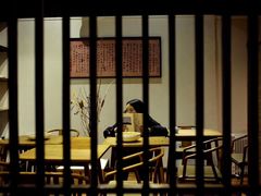 -柴务处·柴犬主题狗咖