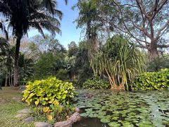 -中国科学院西双版纳热带植物园