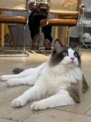 -隅日式美甲美睫專門店