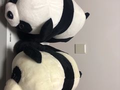 -川西坝子(苏州城市生活广场店)
