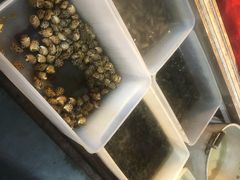 -车头老二大排档