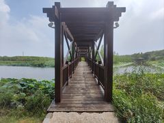 -同里国家湿地公园