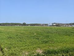 -嘉北郊野公园