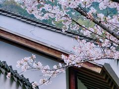 -临平公园(临平街道)