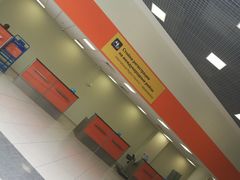 -谢列梅捷沃国际机场